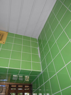 DSCN0786