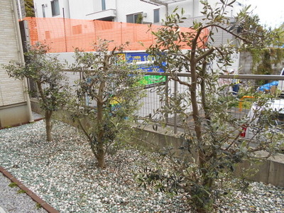 DSCN0754