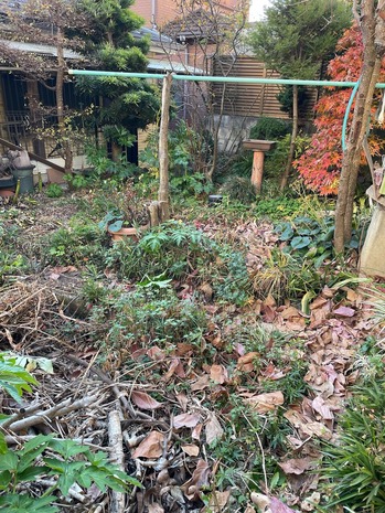 5B8EE7B0-0879-4F32-8426-14FB133990A0