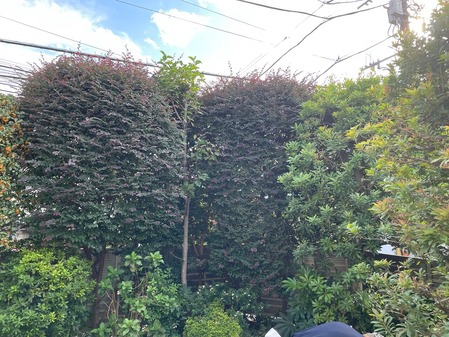 B423F21A-84F3-406D-9DE3-C9835965C646