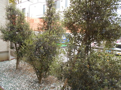 DSCN0752