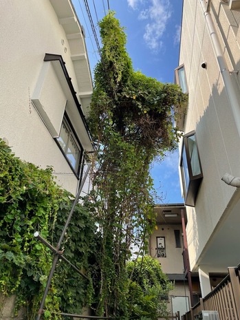 9B2CBCEE-AFDC-47F3-B37A-B7E5E28873B8