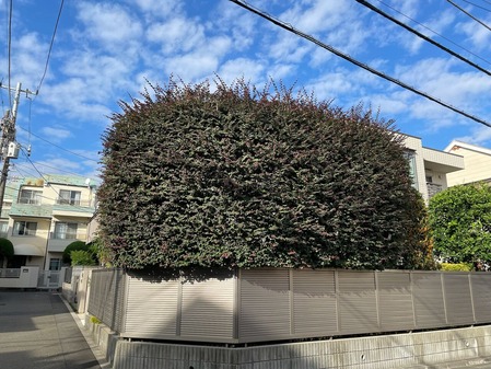 76A27C93-9E8F-4DB6-ADE3-44C6CBD9D826