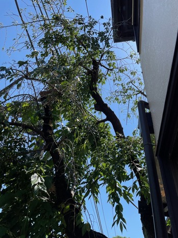 F5EF083D-07D9-4FF1-90D1-134653575D13