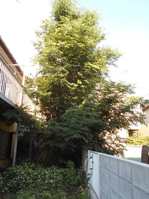 DSCN0561