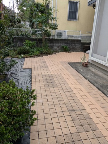 PXL_20241017_063051590