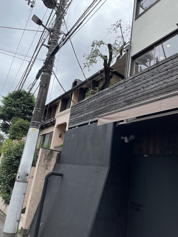 FE37F029-402C-4D5D-A6B5-928E02DA1B2C_1_201_a