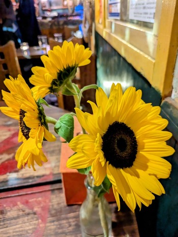 PXL_20240711_133558932.MP~2