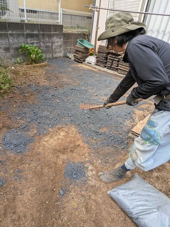 PXL_20241017_005948014.MP