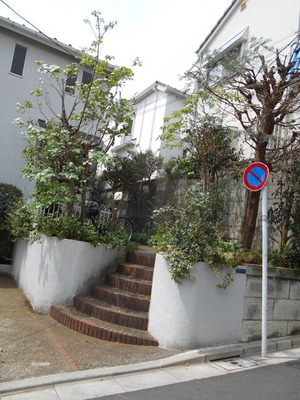 DSCN0554