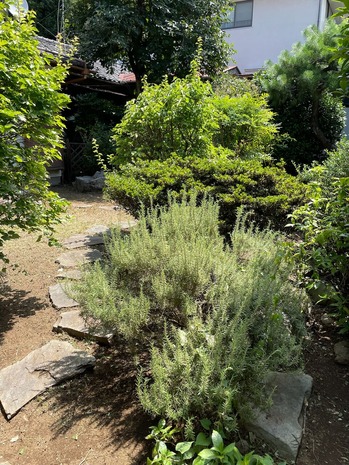 D85447D1-4DC7-478C-B6BB-7953D0B52181