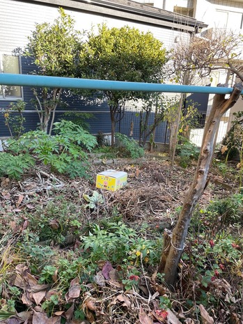 3E42AC18-7A92-43D2-9FE2-8827B31C44D5