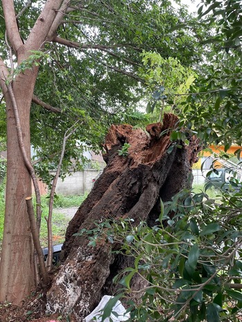 3A137031-4A57-4C58-BE0E-F8B4F9E06B79