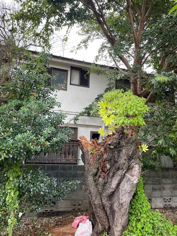 DA07F3CB-E083-41D0-A561-88957DA67C23