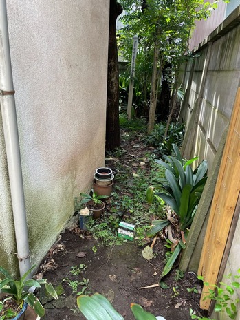 AF69FF6F-38C2-4CDD-B09B-89823782EEDD