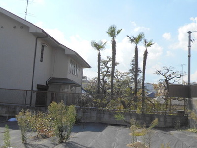 DSCN0846
