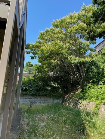 0571C23B-E3FC-476C-9C78-7F0E1BE6A58B