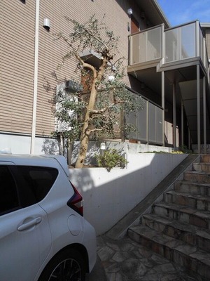 DSCN0661