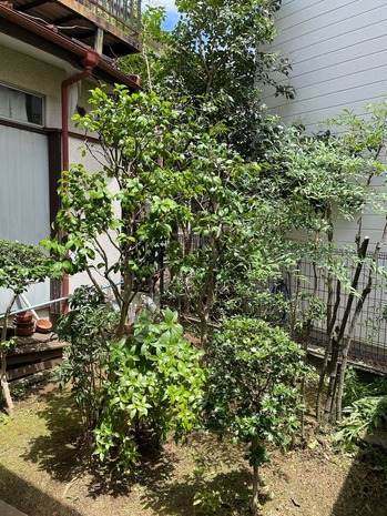 C79059DD-E82B-4FAD-B61B-640BB334B9BC