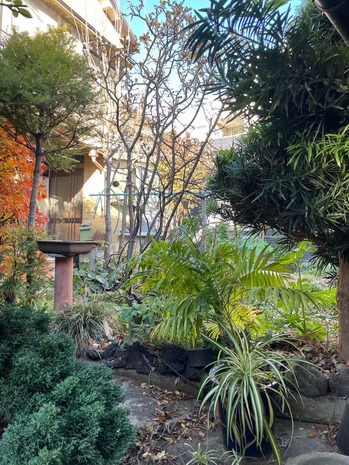 124953A5-7306-4273-AE9A-FB9B49E38487