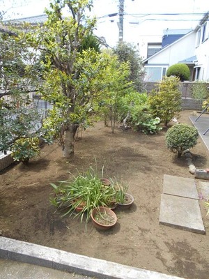 DSCN0532