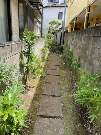 475F3E0D-3CEB-40AB-B80D-9F80BF0F9BEF