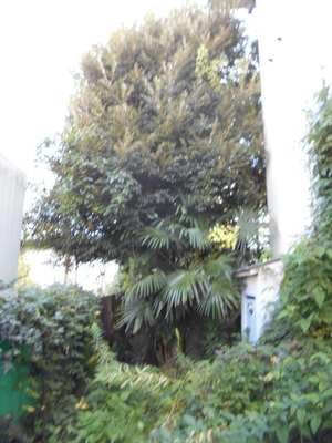 DSCN0843