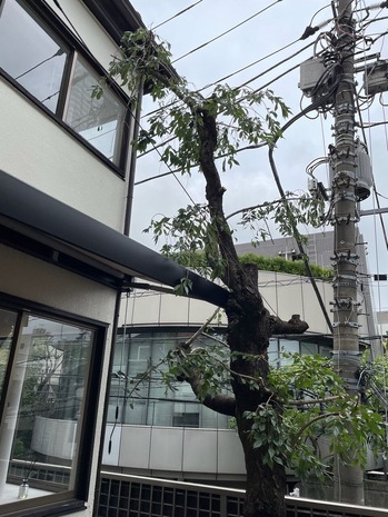 3680648A-465B-4535-B048-6CD4EEA94F83