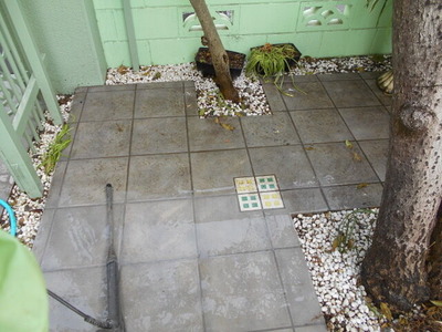 DSCN0899