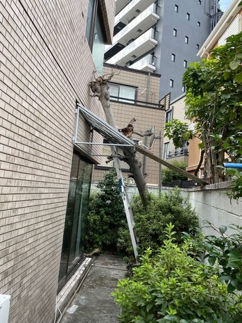 A9BA1B15-A791-429D-8D19-11462129A9BE