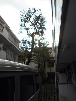 DSCN0869