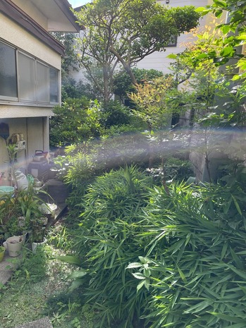 C0520F26-36CC-464F-A166-A7DA792EB207