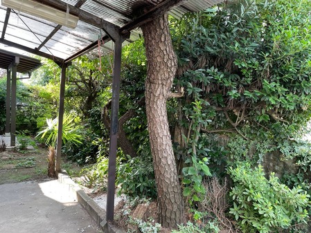 2826A084-6325-4CFE-AE0E-3E4C22511D2D