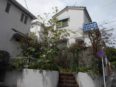 DSCN0553