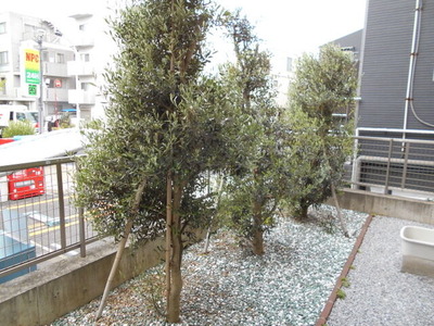 DSCN0751