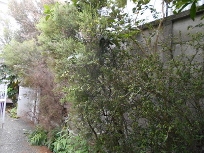 DSCN0550