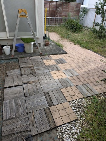 PXL_20241016_232449357