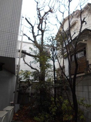 DSCN0725