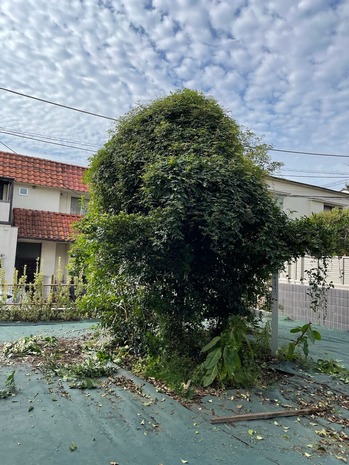 7F1FB316-7E3B-44D3-BDB1-4C0FB73C8D2A