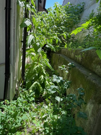 B1F780F2-86B7-4C61-BA00-ABF9B02371EE