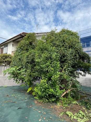 27F4309E-0A55-4F30-A794-72686B4CBFF3