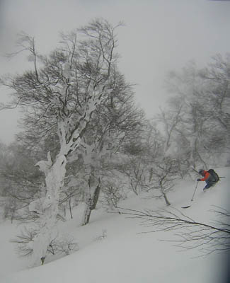 rinnkann