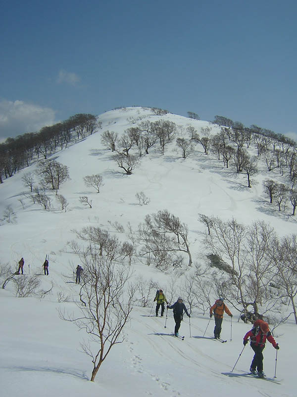 tasirosanndake