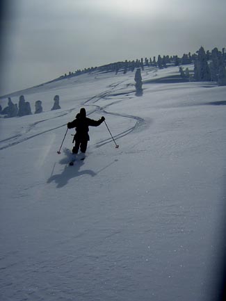 moriyosikitasyamen