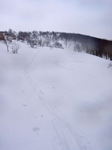 P3200084