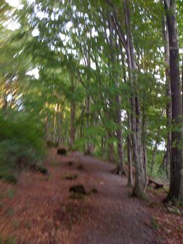 IMG_1315