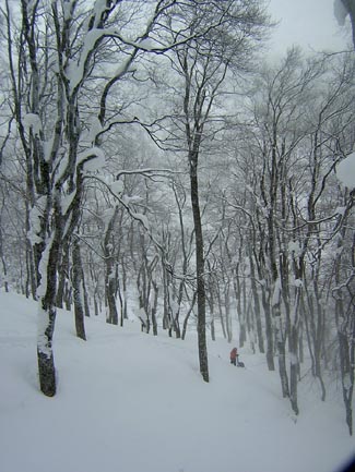 moriyosi
