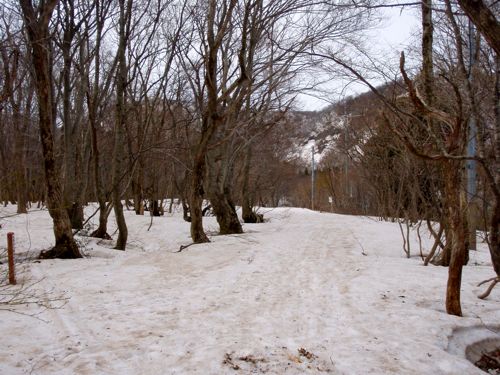 P4100037