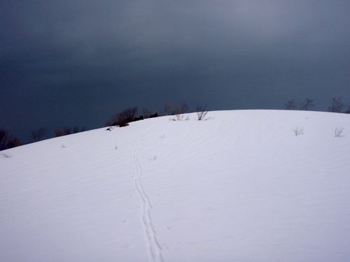 P3200046
