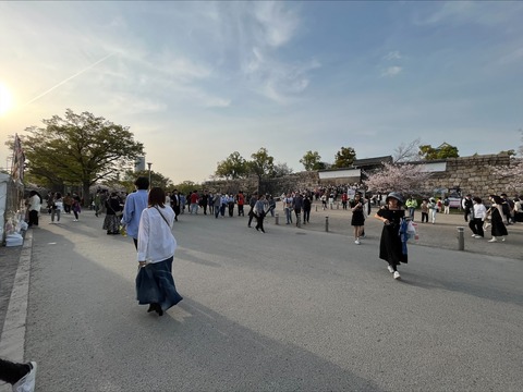 0B30D355-D64A-49ED-B8B2-9C98CD20B24D